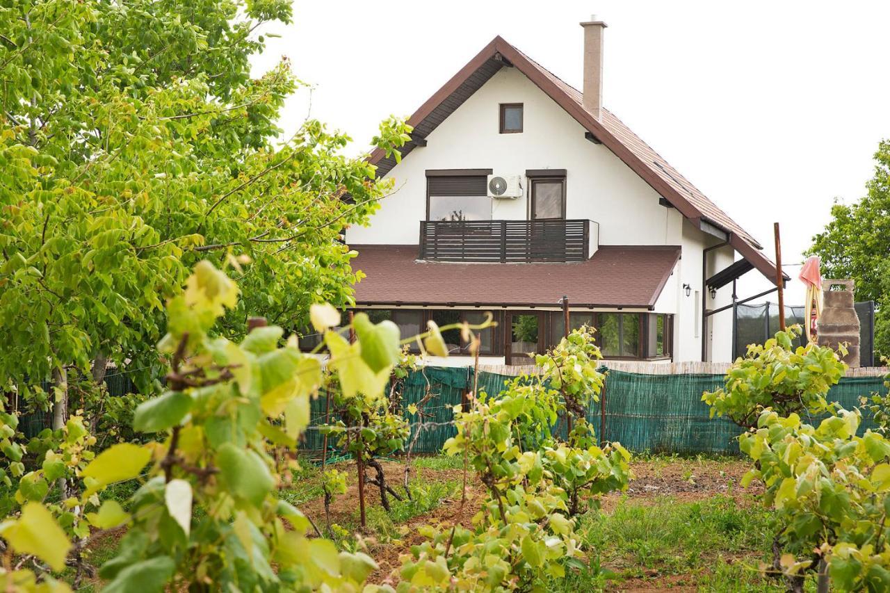 Casa din Vie, piscină încălzită, întreaga locație la 15min de centrul orașului Oradea Villa Exterior foto